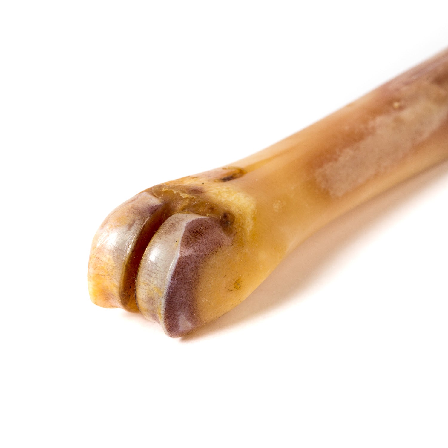 Abbeyhorn x Turms: Polierknochen "Shoebone" aus Naturhorn - Handarbeit